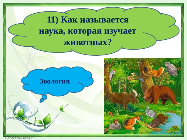 11) Как называется наука, которая изучает животных? Зоология 