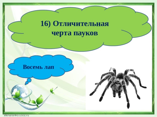 16) Отличительная черта пауков Восемь лап 