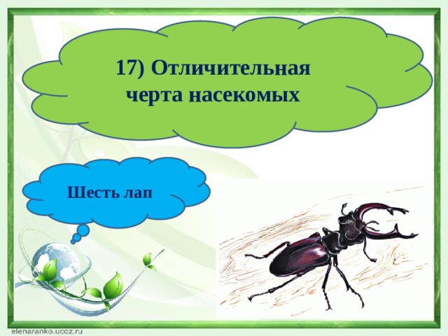 17) Отличительная черта насекомых Шесть лап 