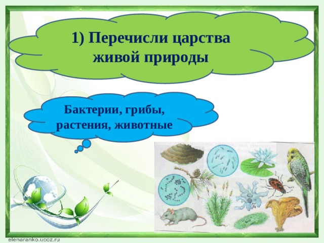 1) Перечисли царства живой природы Бактерии, грибы, растения, животные 