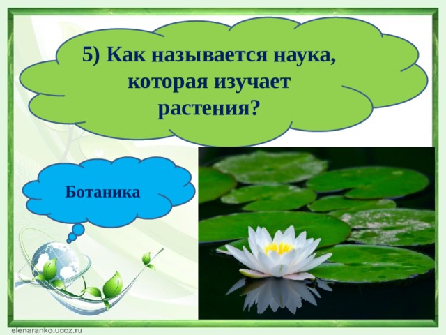 5) Как называется наука, которая изучает растения? Ботаника 
