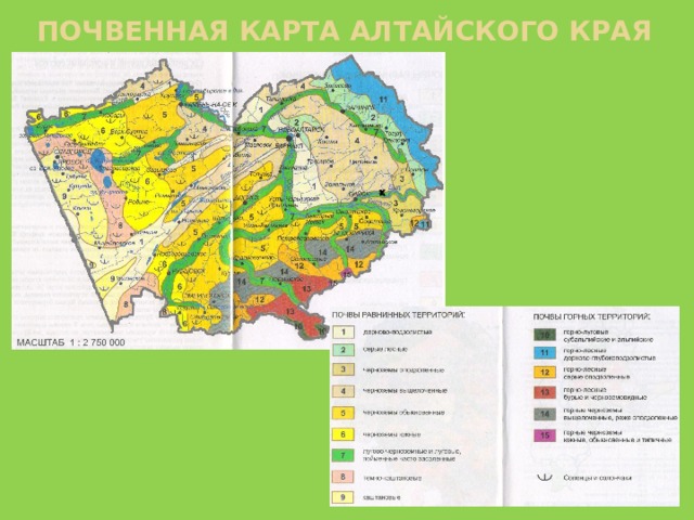 Почвенная карта алтайского края 