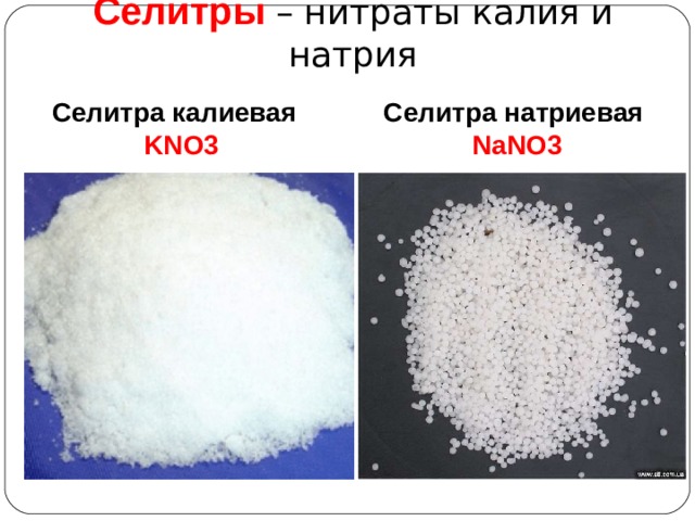 C елитры – нитраты калия и натрия Селитра калиевая  KNO3 Селитра натриевая NaNO3 