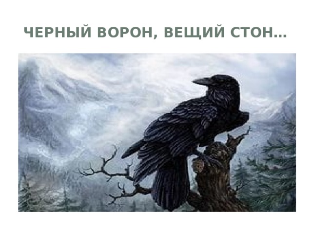 Ворон в сказках. Черный ворон. Ворон из сказки. Старый Мудрый ворон. Ворон на пне.