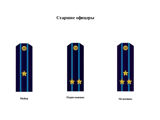 Старшие офицеры  Подполковник Майор Полковник 