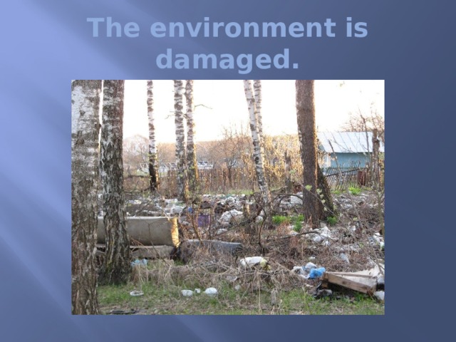 The environment is damaged. 