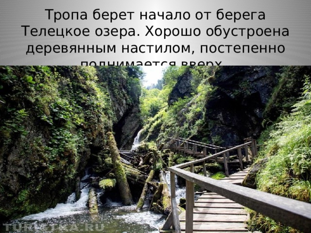 Тропа берет начало от берега Телецкое озера. Хорошо обустроена деревянным настилом, постепенно поднимается вверх. 