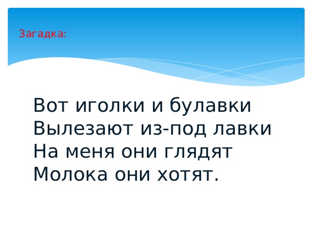 Загадка: Вот иголки и булавки Вылезают из-под лавки На меня они глядят Молока они хотят. 