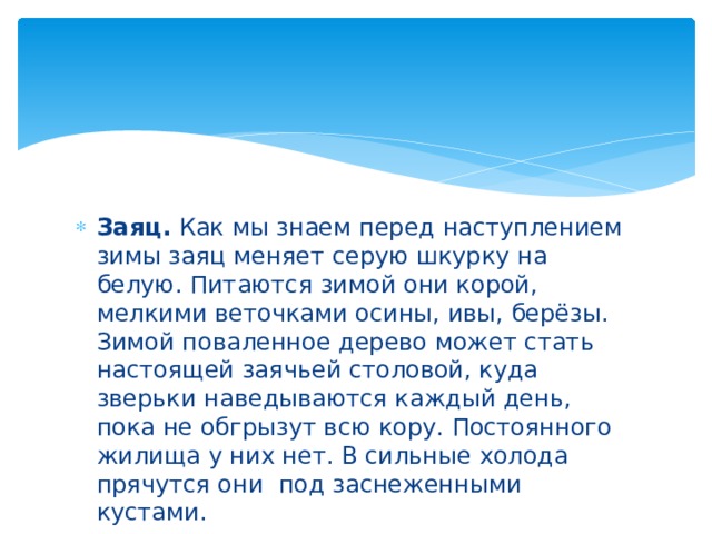 Заяц. Как мы знаем перед наступлением зимы заяц меняет серую шкурку на белую. Питаются зимой они корой, мелкими веточками осины, ивы, берёзы. Зимой поваленное дерево может стать настоящей заячьей столовой, куда зверьки наведываются каждый день, пока не обгрызут всю кору. Постоянного жилища у них нет. В сильные холода прячутся они  под заснеженными кустами. 