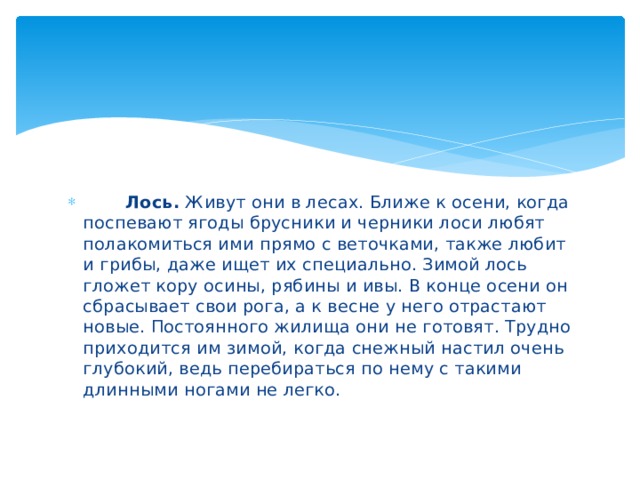        Лось. Живут они в лесах. Ближе к осени, когда поспевают ягоды брусники и черники лоси любят полакомиться ими прямо с веточками, также любит и грибы, даже ищет их специально. Зимой лось гложет кору осины, рябины и ивы. В конце осени он сбрасывает свои рога, а к весне у него отрастают новые. Постоянного жилища они не готовят. Трудно приходится им зимой, когда снежный настил очень глубокий, ведь перебираться по нему с такими длинными ногами не легко.  