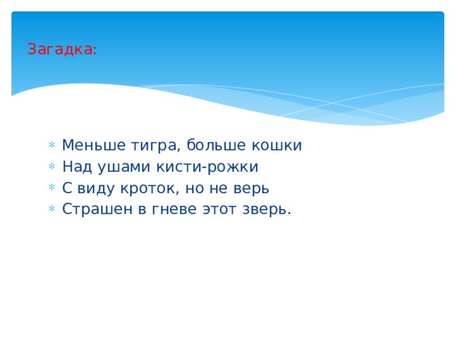 Загадка: Меньше тигра, больше кошки Над ушами кисти-рожки С виду кроток, но не верь Страшен в гневе этот зверь. 