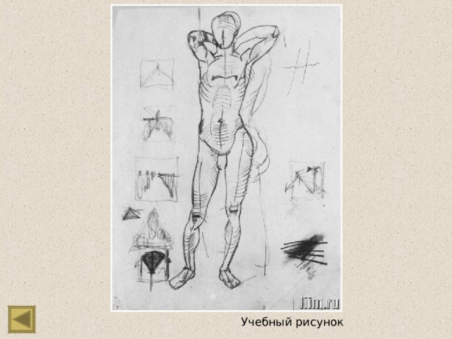 Учебный рисунок 