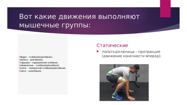 Вот какие движения выполняют мышечные группы: бедро – сгибание/разгибание; колено – разгибание; лодыжка – подошвенное сгибание; позвоночник – сгибание/разгибание; плечи – поперечное сгибание/разгибание; локти – разгибание.   Динамические Статические лопатка/ключица – протракция (движение конечности вперед). 