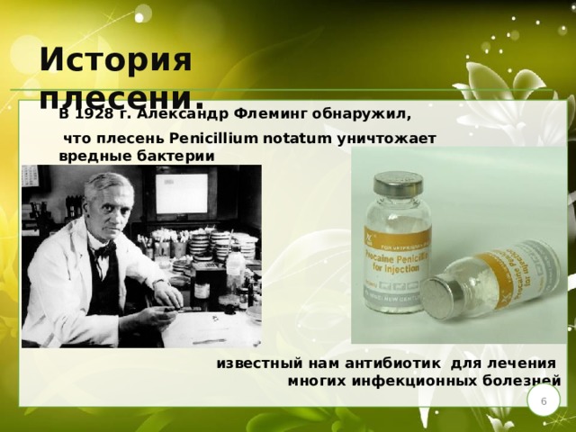 Исследовательский проект на тему плесень