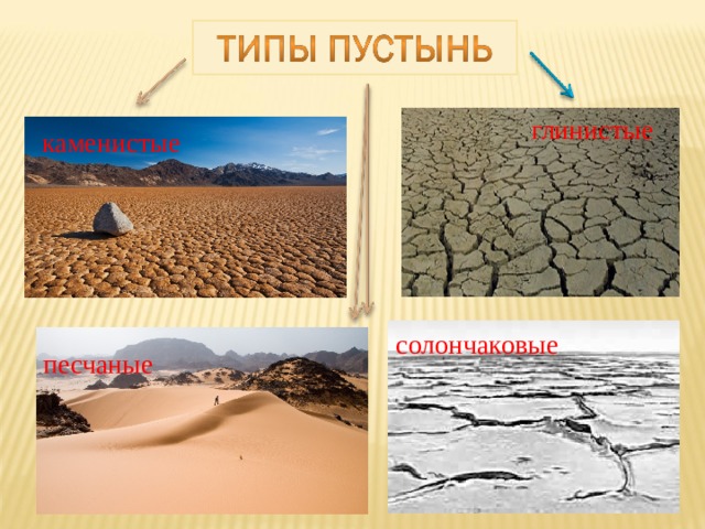 Тесты зона пустыни 4 класс. Зона пустынь 4 класс. В России пустыни песчаные или глинистые. Зона пустынь 4 класс окружающий мир. Зона пустыни с водой.