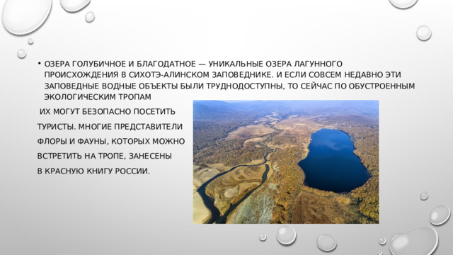 Озера Голубичное и Благодатное — уникальные озера лагунного происхождения в Сихотэ-Алинском заповеднике. И если совсем недавно эти заповедные водные объекты были труднодоступны, то сейчас по обустроенным экологическим тропам  их могут безопасно посетить туристы. Многие представители флоры и фауны, которых можно встретить на тропе, занесены в Красную книгу России.    