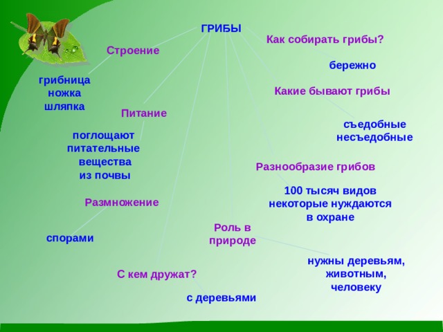 В царстве грибов 3 класс технологическая карта