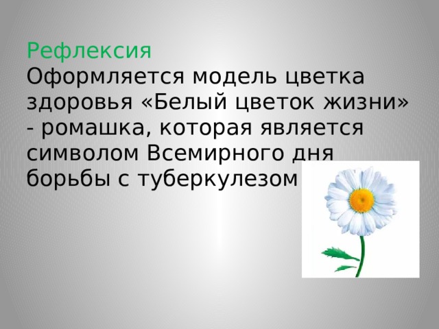 Рефлексия  Оформляется модель цветка здоровья «Белый цветок жизни» - ромашка, которая является символом Всемирного дня борьбы с туберкулезом.   