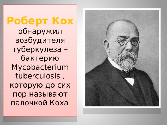 Роберт Кох обнаружил возбудителя туберкулеза – бактерию Mycobacterium tuberculosis , которую до сих пор называют палочкой Коха . 