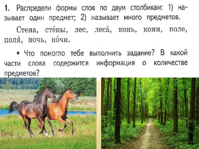 Все ли имена существительные умеют изменяться по числам 3 класс родной язык конспект и презентация