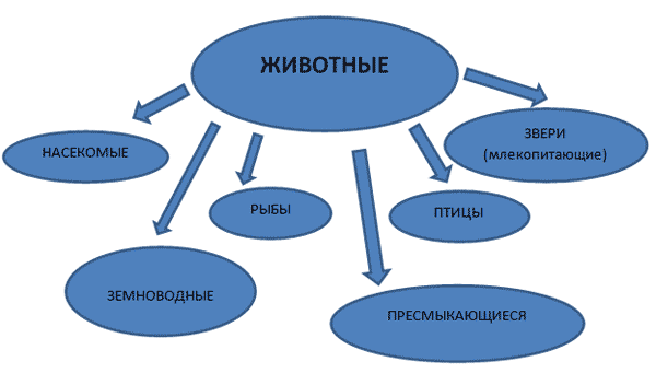 Схемы по окружающему миру 2 класс