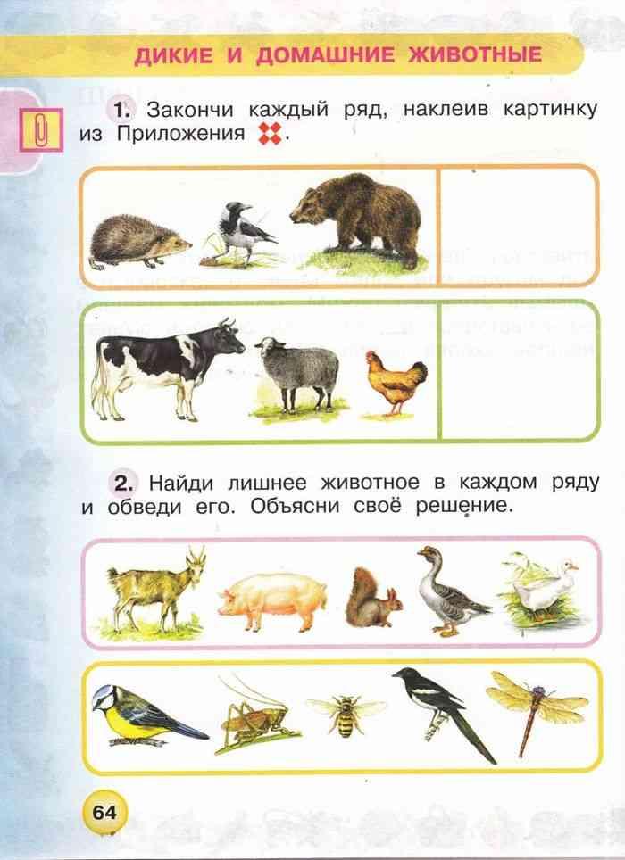 Окружающий мир первый класс рабочая. Дикие и домашние животные 1 класс окружающий мир задания. Рабочая тетрадь окружающий мир 1 класс Планета знаний тема животные. Звери окружающий мир 1 класс школа России задания. Дикие и домашние животные 2 класс окружающий мир задания.