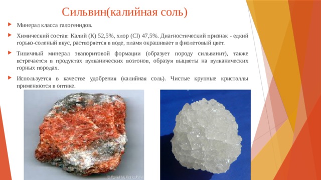 Сильвин(калийная соль) Минерал класса галогенидов. Химический состав: Калий (К) 52,5%, хлор (Сl) 47,5%. Диагностический признак - едкий горько-соленый вкус, растворяется в воде, пламя окрашивает в фиолетовый цвет. Типичный минерал эвапоритовой формации (образует породу сильвинит), также встречается в продуктах вулканических возгонов, образуя выцветы на вулканических горных породах. Используется в качестве удобрения (калийная соль). Чистые крупные кристаллы применяются в оптике. 