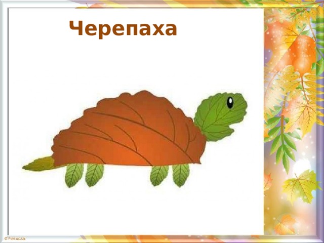 Черепаха  