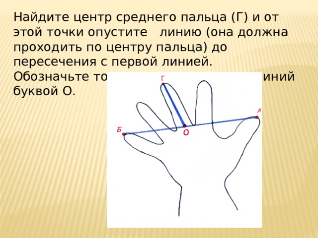 Найдите центр среднего пальца (Г) и от этой точки опустите линию (она должна проходить по центру пальца) до пересечения с первой линией.  Обозначьте точку пересечения этих линий буквой О. 