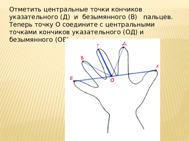 Отметить центральные точки кончиков указательного (Д) и безымянного (В) пальцев.  Теперь точку О соедините с центральными точками кончиков указательного (ОД) и безымянного (ОВ) пальцев. 