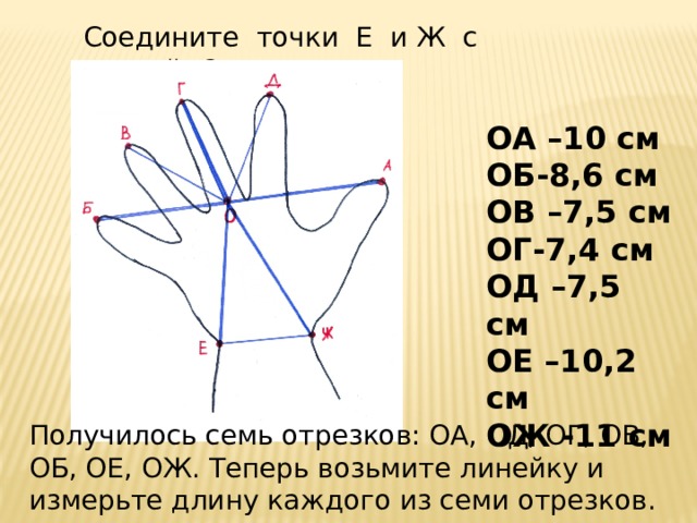 Соедините точки Е и Ж с точкой О ОА –10 см ОБ-8,6 см ОВ –7,5 см ОГ-7,4 см ОД –7,5 см ОЕ –10,2 см ОЖ -11 см Получилось семь отрезков: OA, ОД, ОГ, ОВ, ОБ, ОЕ, ОЖ. Теперь возьмите линейку и измерьте длину каждого из семи отрезков.   