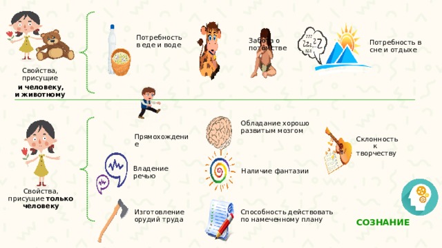 Для чего человек рождается обществознание. Смотреть фото Для чего человек рождается обществознание. Смотреть картинку Для чего человек рождается обществознание. Картинка про Для чего человек рождается обществознание. Фото Для чего человек рождается обществознание