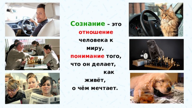 Для чего человек рождается обществознание. Смотреть фото Для чего человек рождается обществознание. Смотреть картинку Для чего человек рождается обществознание. Картинка про Для чего человек рождается обществознание. Фото Для чего человек рождается обществознание
