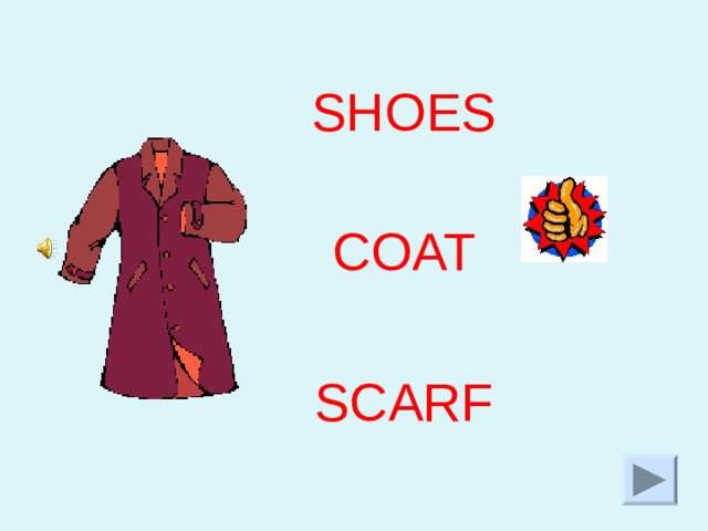 SHOES COAT SCARF  