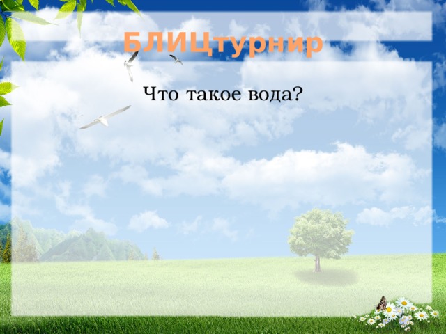 БЛИЦтурнир Что такое вода? 