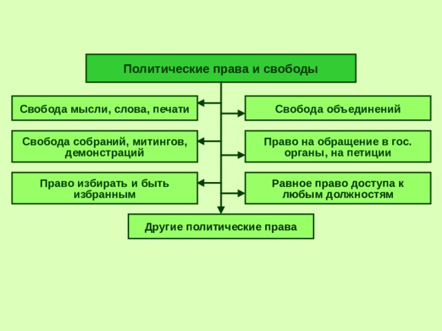 Политические права картинки