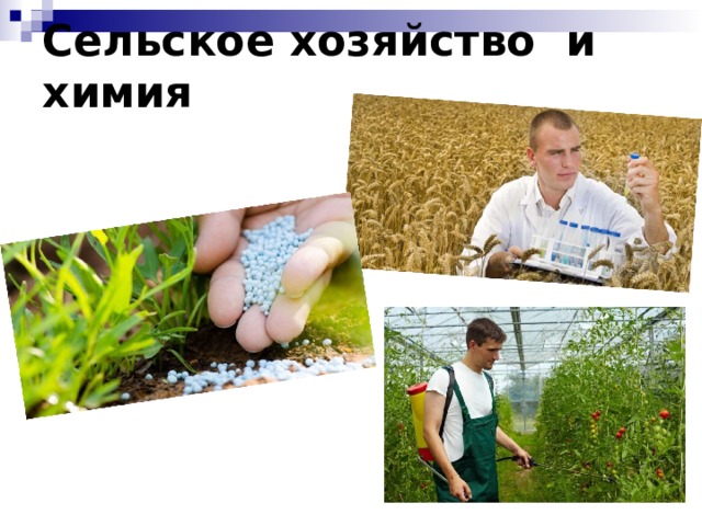 Сельское хозяйство и химия 