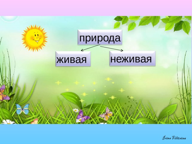 природа неживая живая 5 