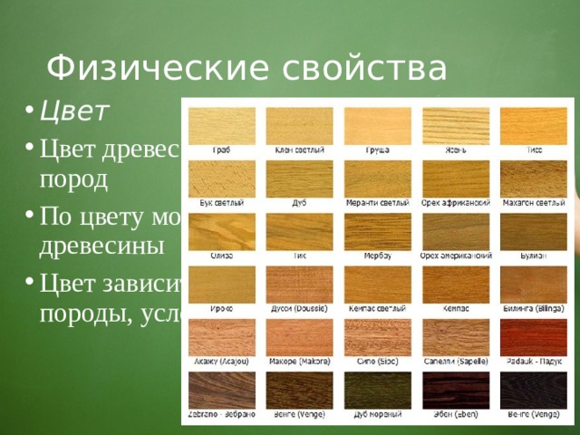 Физические свойства Цвет Цвет древесины различен у разных пород По цвету можно определить породу древесины Цвет зависит от возраста дерева, его породы, условий и места произрастания  