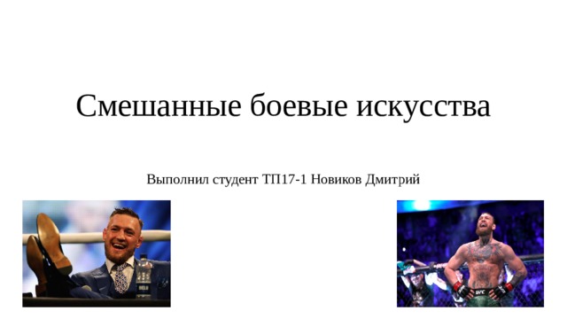 Смешанные боевые искусства   Выполнил студент ТП17-1 Новиков Дмитрий 