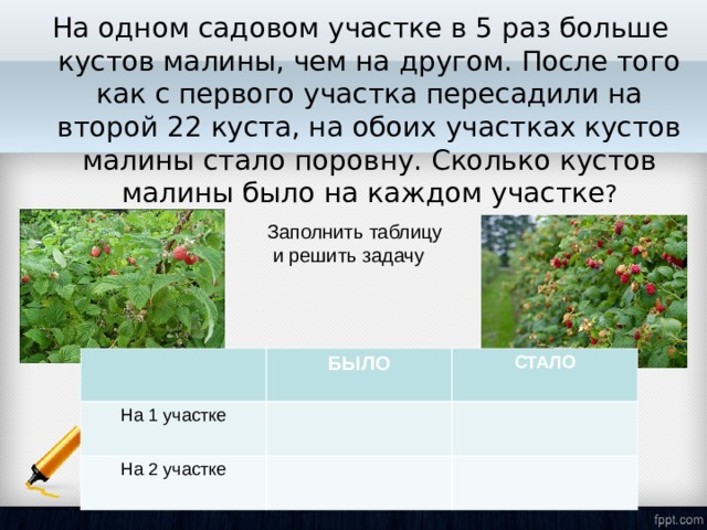 На одном садовом участке в 5 раз больше кустов малины, чем на другом. После того как с первого участка пересадили на второй 22 куста, на обоих участках кустов малины стало поровну. Сколько кустов малины было на каждом участке ?   Заполнить таблицу  и решить задачу На 1 участке БЫЛО СТАЛО На 2 участке 