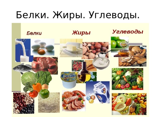 Белки. Жиры. Углеводы. 