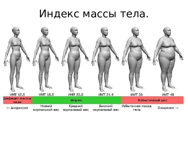 Индекс массы тела. 
