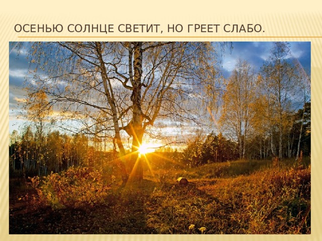 Осенью солнце светит, но греет слабо. 