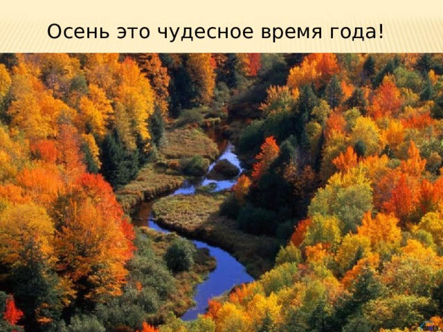 Осень это чудесное время года! 