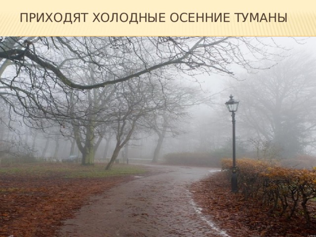 Приходят холодные осенние туманы 