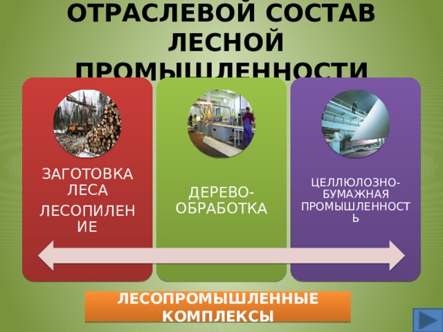 ОТРАСЛЕВОЙ СОСТАВ  ЛЕСНОЙ ПРОМЫШЛЕННОСТИ ЗАГОТОВКА ЛЕСА ДЕРЕВО-ОБРАБОТКА ЦЕЛЛЮЛОЗНО-БУМАЖНАЯ ПРОМЫШЛЕННОСТЬ ЛЕСОПИЛЕНИЕ ЛЕСОПРОМЫШЛЕННЫЕ КОМПЛЕКСЫ 