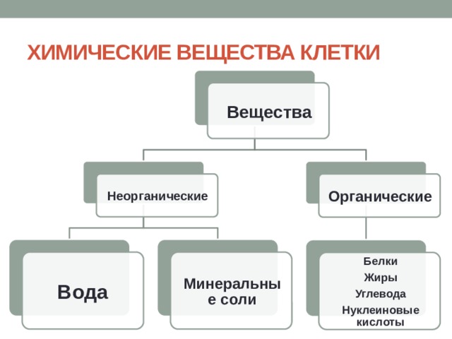 Органические и неорганические вещества клетки тест