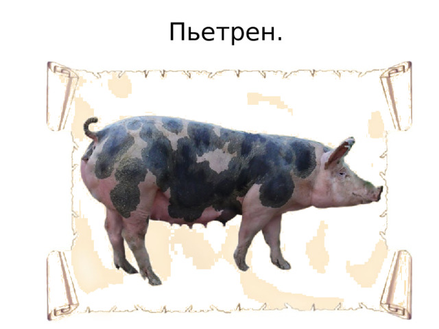 Пьетрен. 