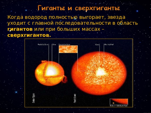 Когда водород полностью выгорает, звезда уходит с главной последовательности в область гигантов или при больших массах – сверхгигантов. 